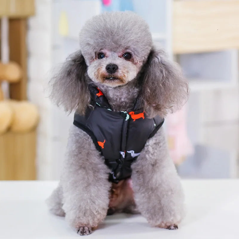 Pet Dog Fashion Winter Coat Small Dog Warm Jacket Stylish Comfortable Insulation Clothing Chihuahua Teddy Poodle Pet Clothing