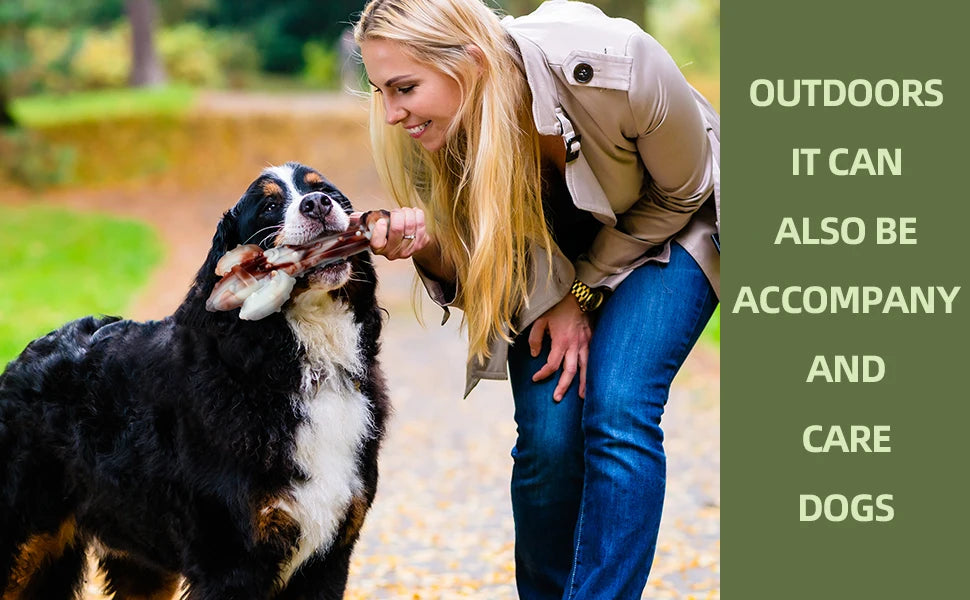 Durable Dog Chew Toy, Cactus-Shaped Tough Bite-Resistant Cartoon Pattern,With Food Hiding Features–Suitable for All Breed Sizes