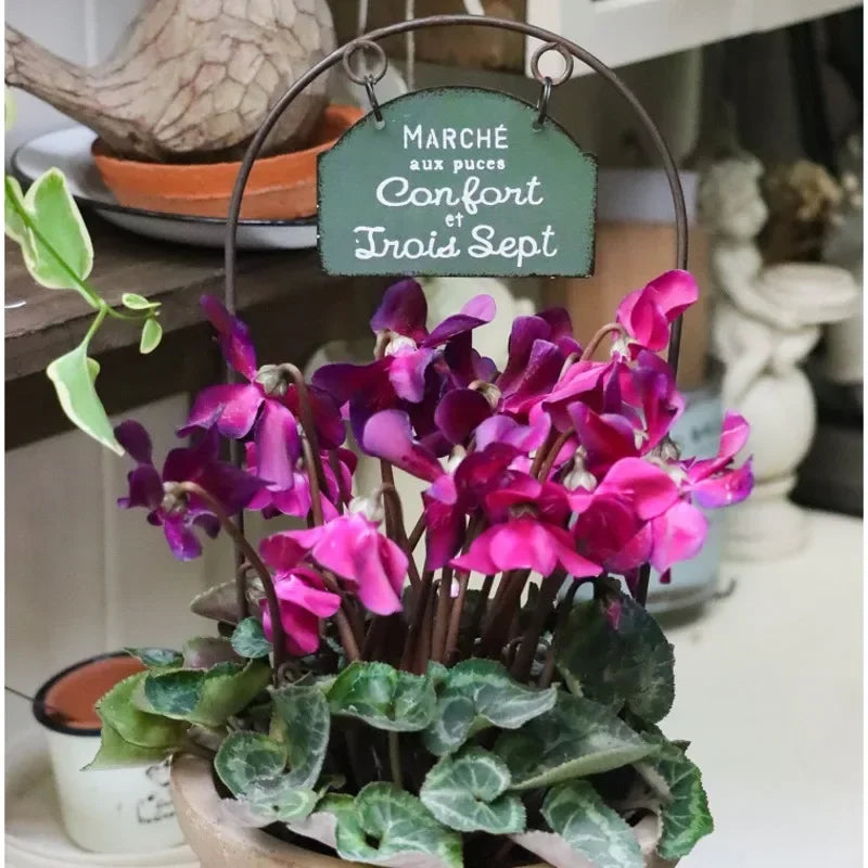 إدراج زهرة قوس الشرفة، وعاء زهور من الحديد المطاوع، ديكور منظر طبيعي للفناء، علامة تسمية النباتات الخارجية للحديقة