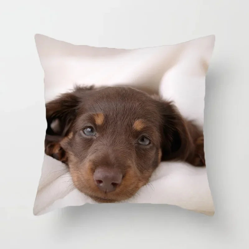 Golden Retriever Pet Dog Pattern Printed Pillow Cover Fashionable Luxury Home Decoration Office Seat Cushion Cover