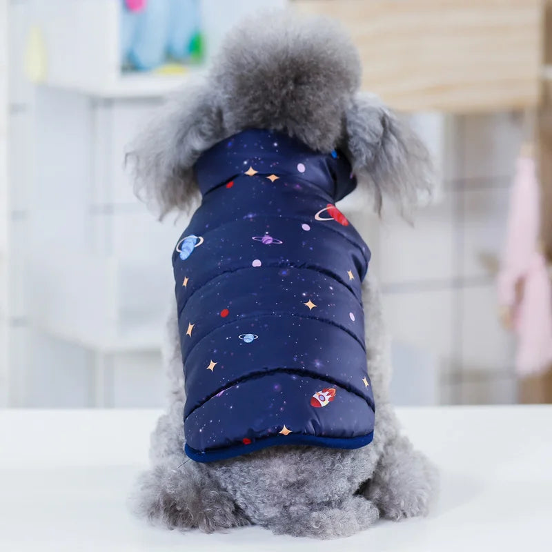 Pet Dog Fashion Winter Coat Small Dog Warm Jacket Stylish Comfortable Insulation Clothing Chihuahua Teddy Poodle Pet Clothing