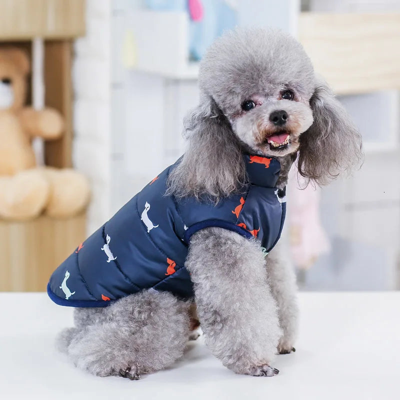 Pet Dog Fashion Winter Coat Small Dog Warm Jacket Stylish Comfortable Insulation Clothing Chihuahua Teddy Poodle Pet Clothing