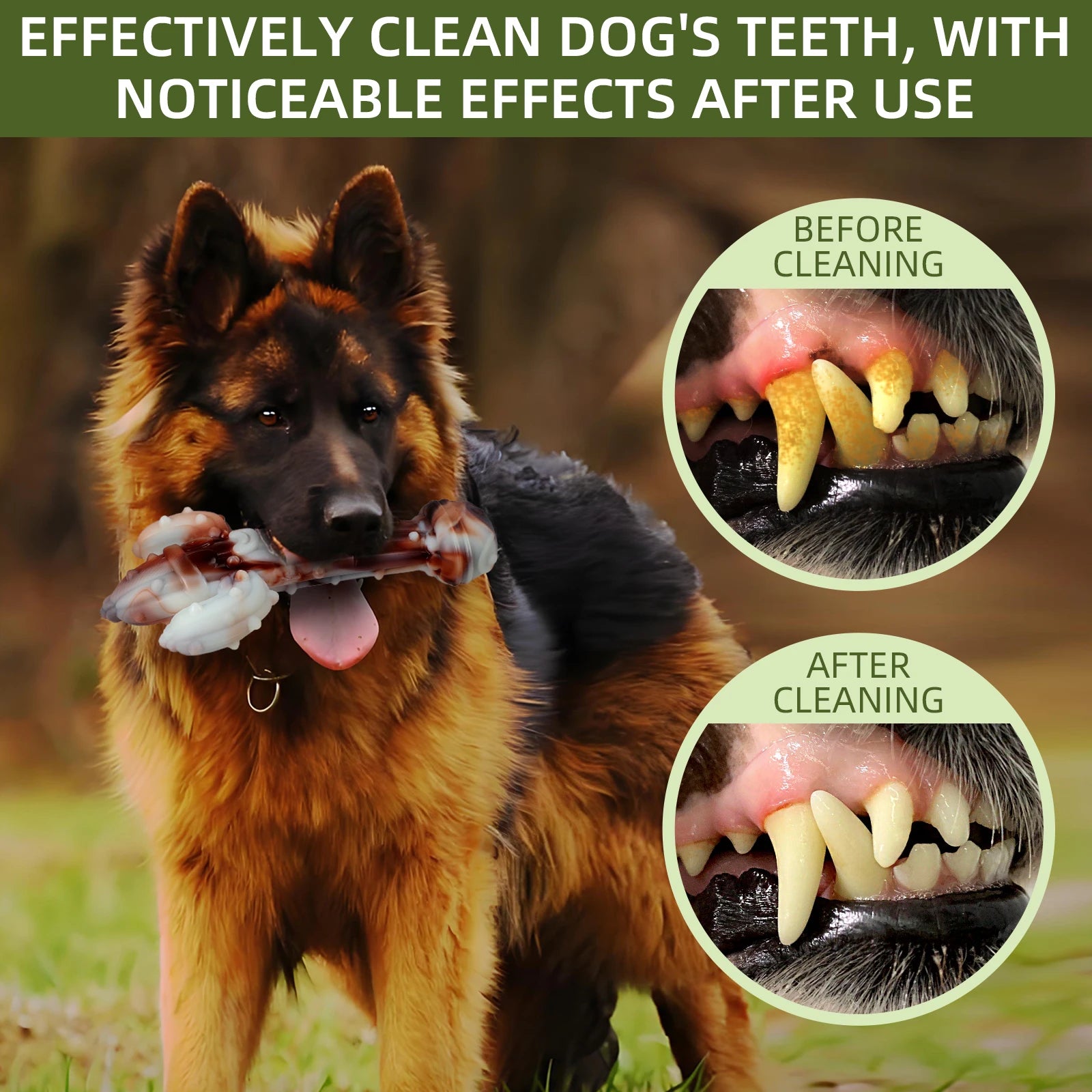 Durable Dog Chew Toy, Cactus-Shaped Tough Bite-Resistant Cartoon Pattern,With Food Hiding Features–Suitable for All Breed Sizes