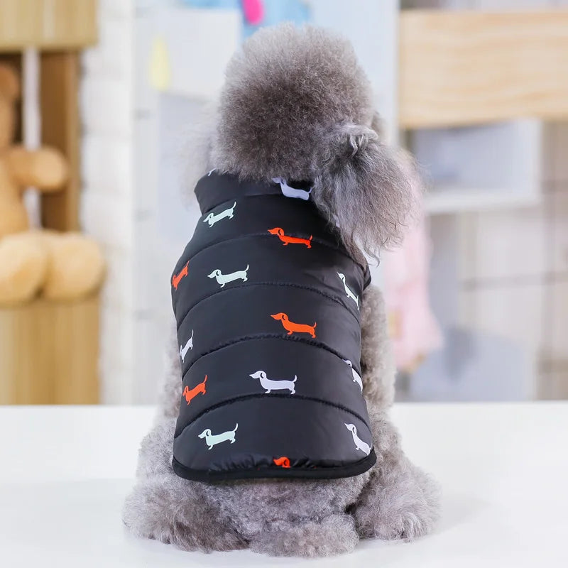 Pet Dog Fashion Winter Coat Small Dog Warm Jacket Stylish Comfortable Insulation Clothing Chihuahua Teddy Poodle Pet Clothing