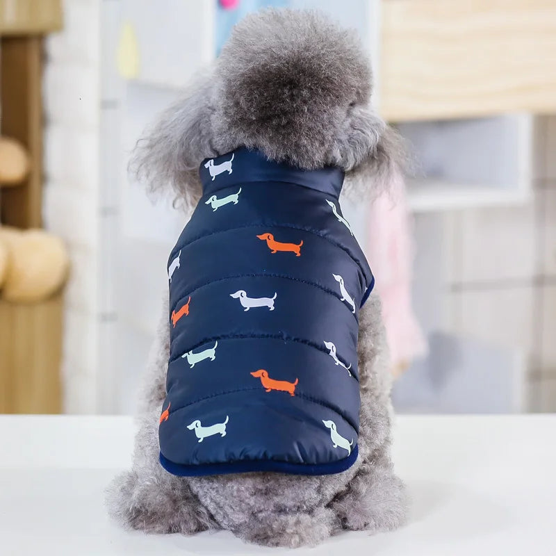 Pet Dog Fashion Winter Coat Small Dog Warm Jacket Stylish Comfortable Insulation Clothing Chihuahua Teddy Poodle Pet Clothing