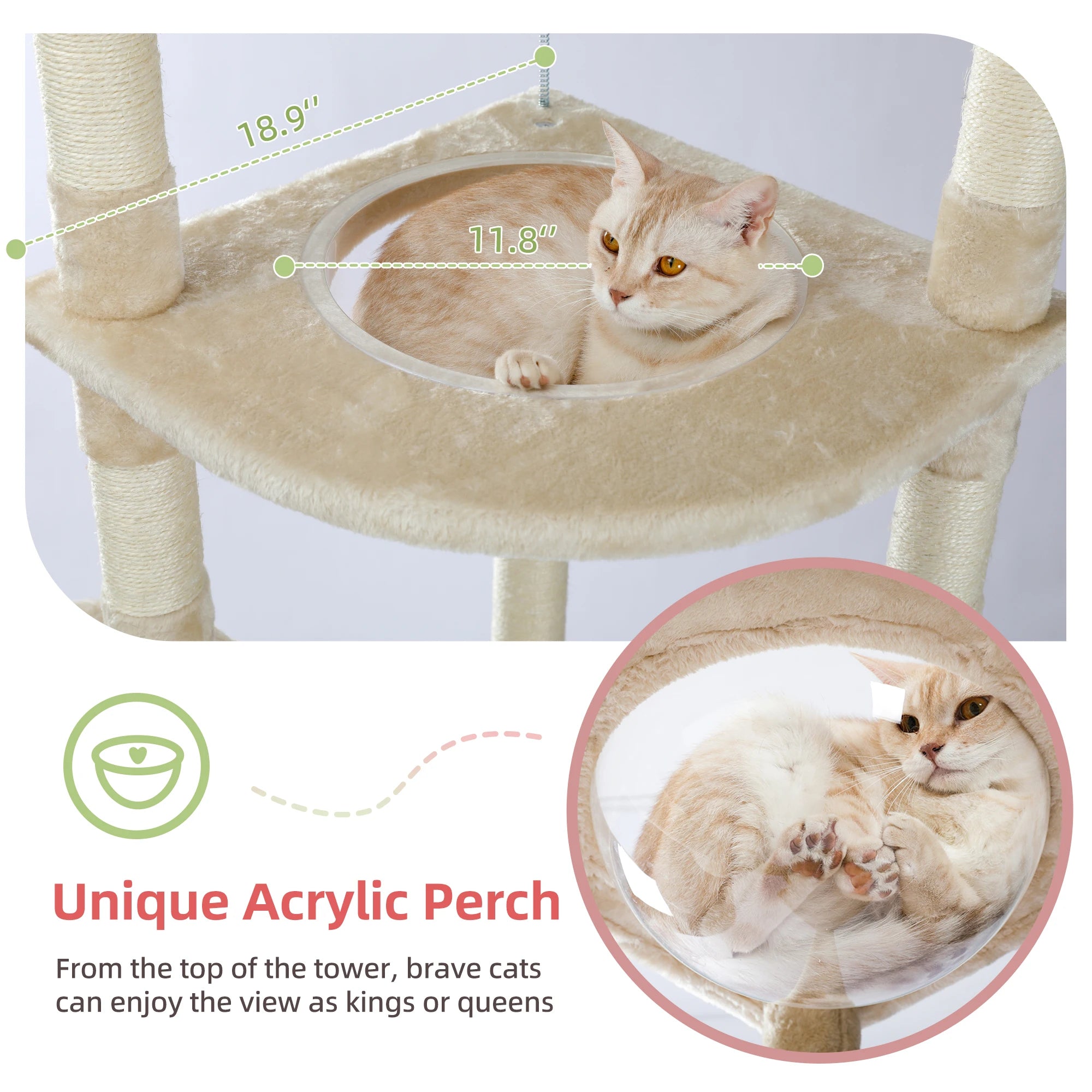 Floor to Ceiling Cat Tree Adjustable Cat Tower Tall Kitty Climbing Play House with Scratching Posts Cozy Condo Perches Hammock