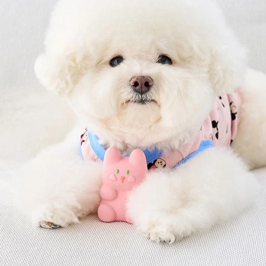 Squeaky Latex Dog Toys - Fun Beeping Pet Toys Set for Puppies & Dogs, Interactive Playtime Companions