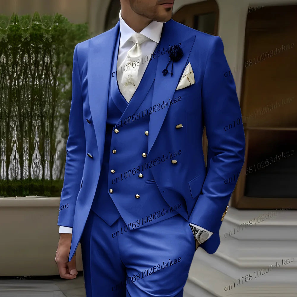 Ensemble de costume 3 pièces smoking