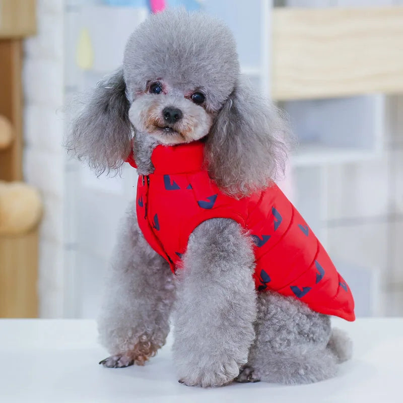 Pet Dog Fashion Winter Coat Small Dog Warm Jacket Stylish Comfortable Insulation Clothing Chihuahua Teddy Poodle Pet Clothing