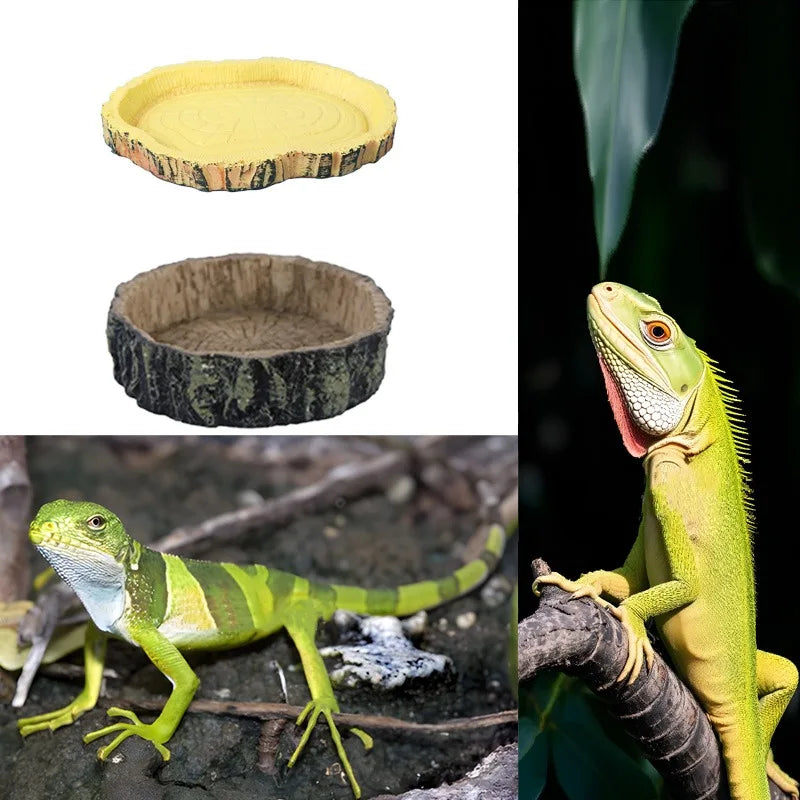 Reptile Bowl Resin Aquarium Pet Reptile Feeder Bowl Basin Food Water Pot Reptile Turtle Tortoise Scorpion Lizard Crabs Supplies