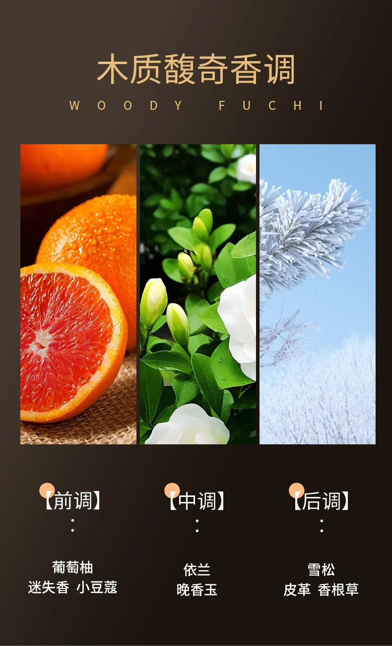 Parfum longue durée Woody Fuchi Parfum pour homme The One Perfume Dolo Ganbana Pour Homme Eau De Parfum 50ML