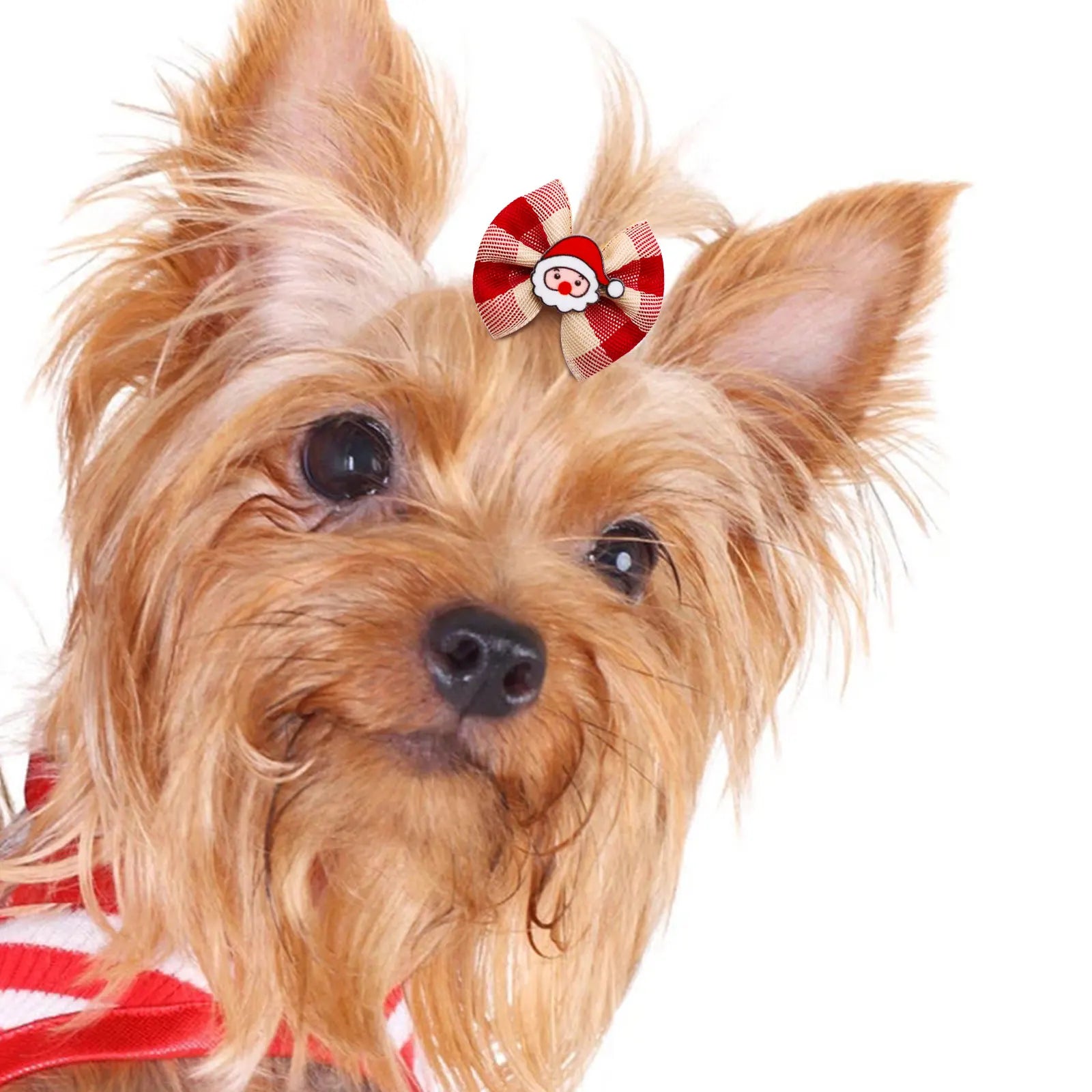 10/20/30pcs Small Dogs Hair Accessories Winter Plaid Dog Bows With Rubber Bands Snowman Ornament Pet Dog Grooming Accessories